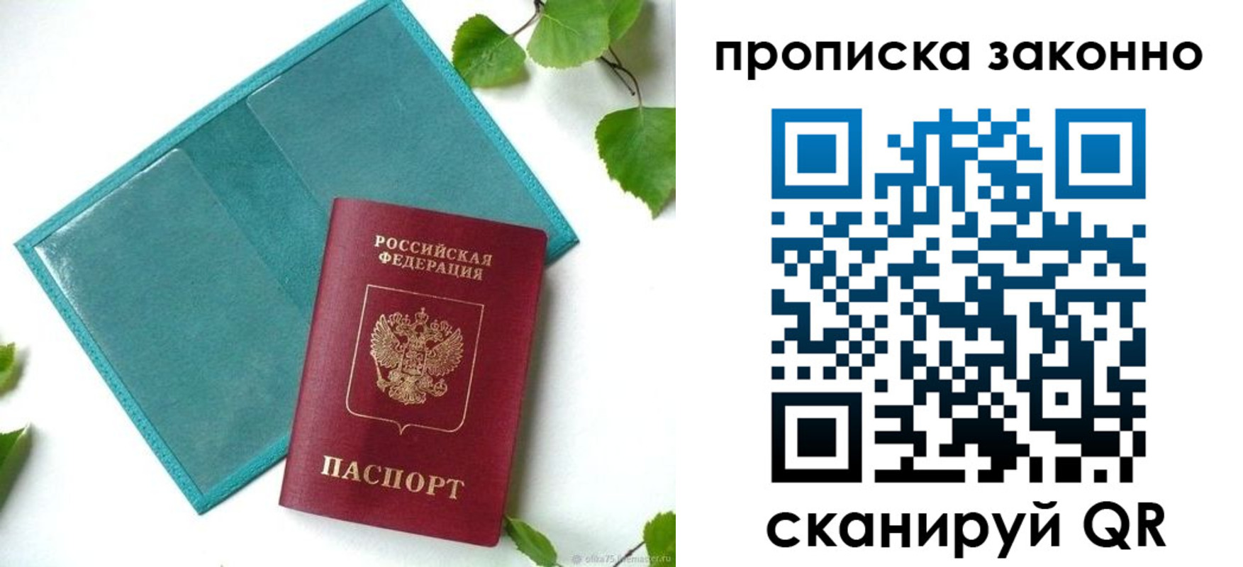 прописка штамп в Сольцах